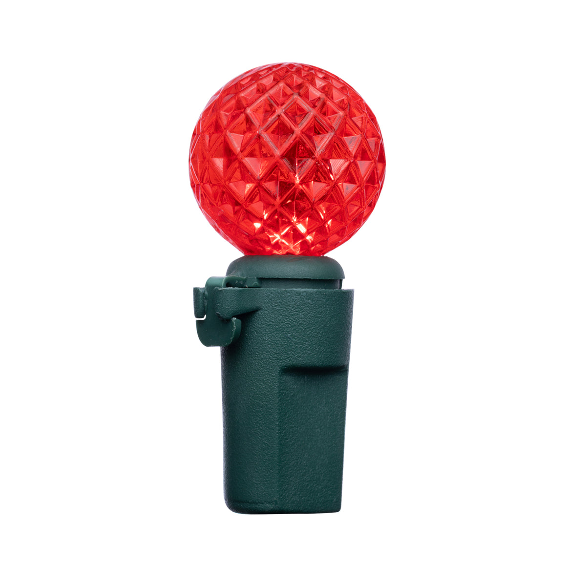 G12 50L Battery Operated Lights (Retail Box)