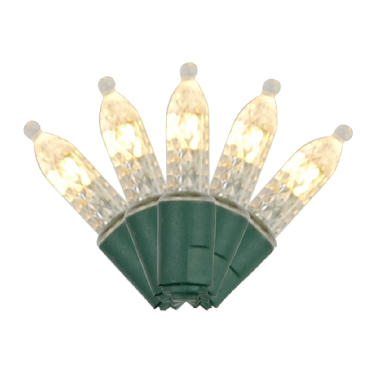 C6/G12/T5 36L Battery Operated Lights (Retail Box)