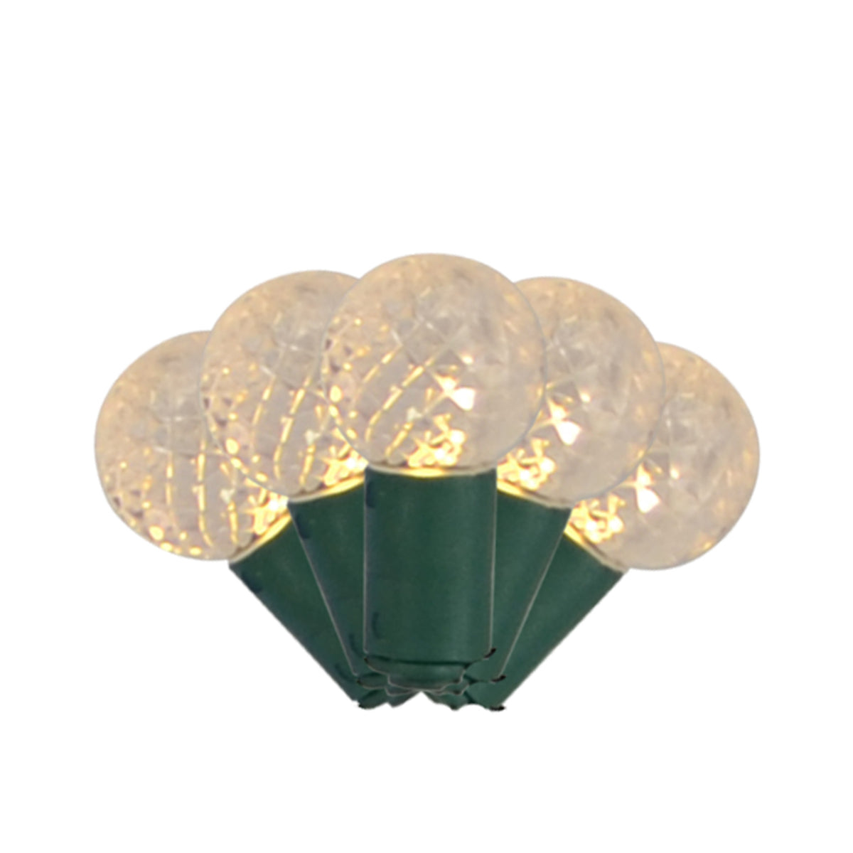 C6/G12/T5 36L Battery Operated Lights (Retail Box)