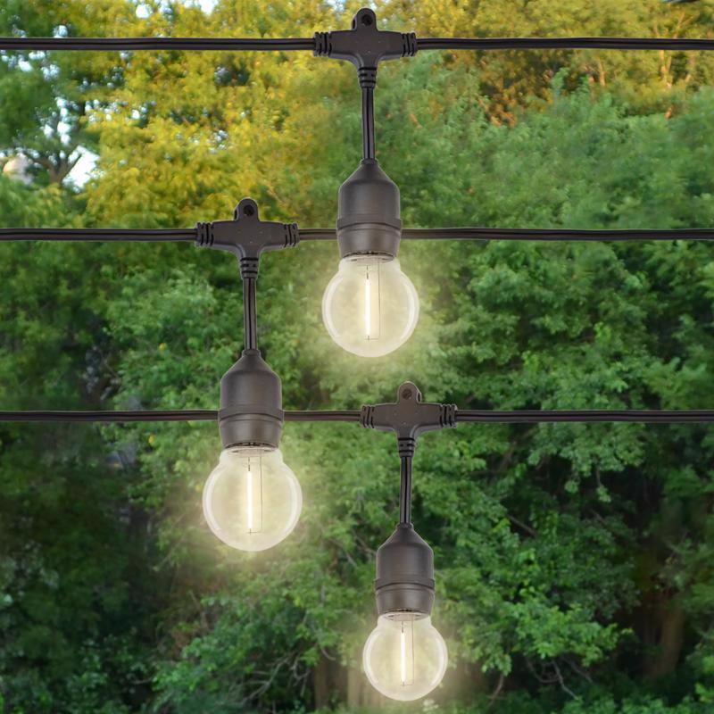 G50 LED Smooth Transparent w/ E26 Base Bulbs (Retail Box)