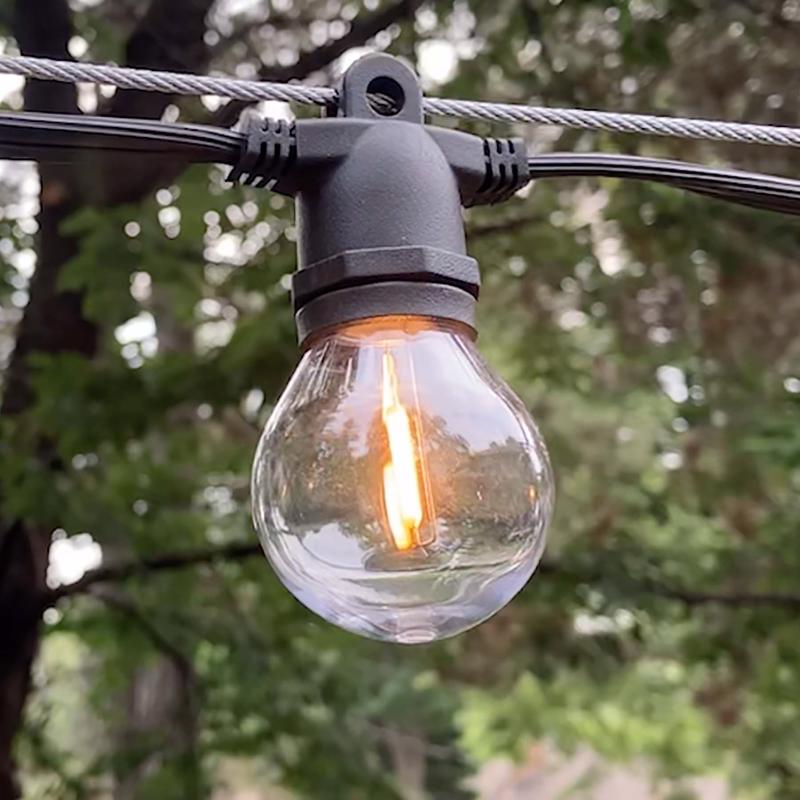 G50 LED Smooth Transparent w/ E26 Base Bulbs (Retail Box)