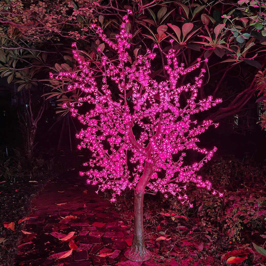 8ft Cherry Blossom Trees