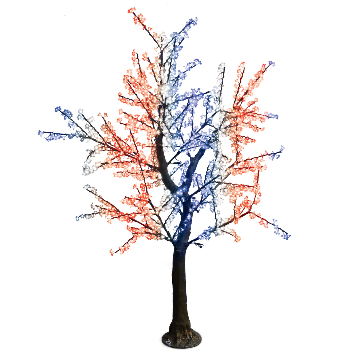 8ft Cherry Blossom Trees