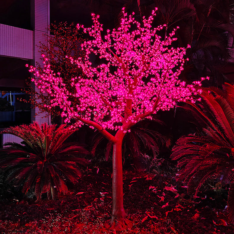 12ft Cherry Blossom Trees
