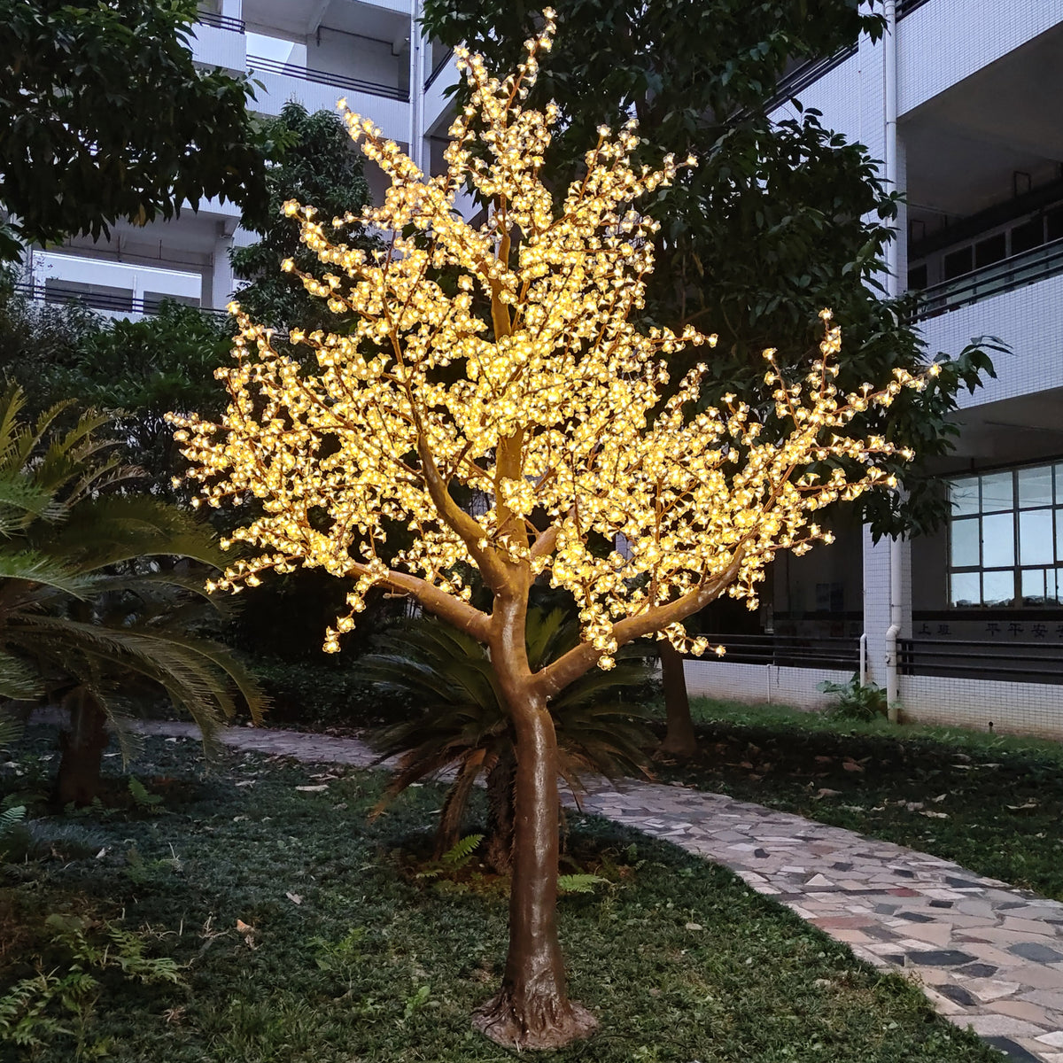 12ft Cherry Blossom Trees