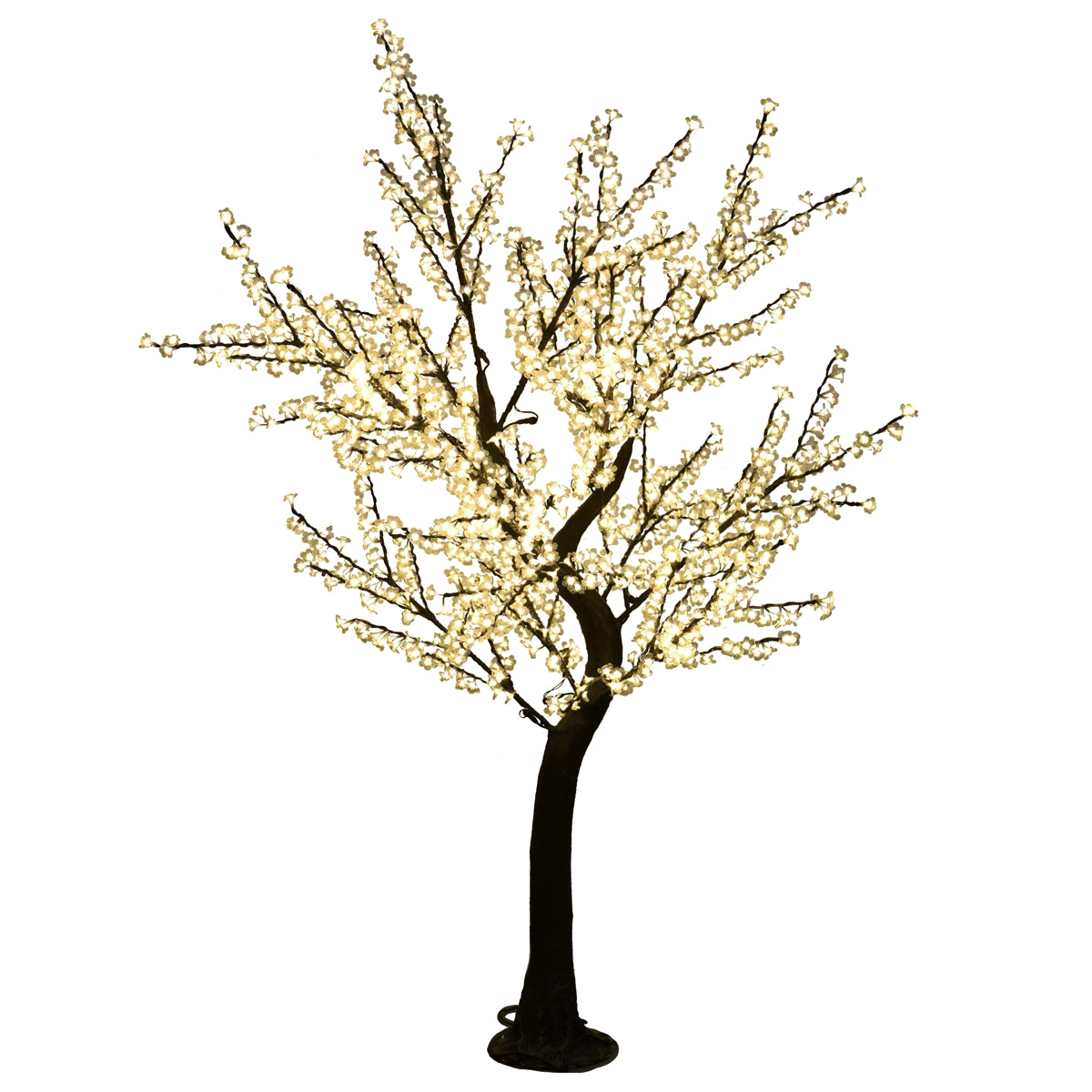 12ft Cherry Blossom Trees