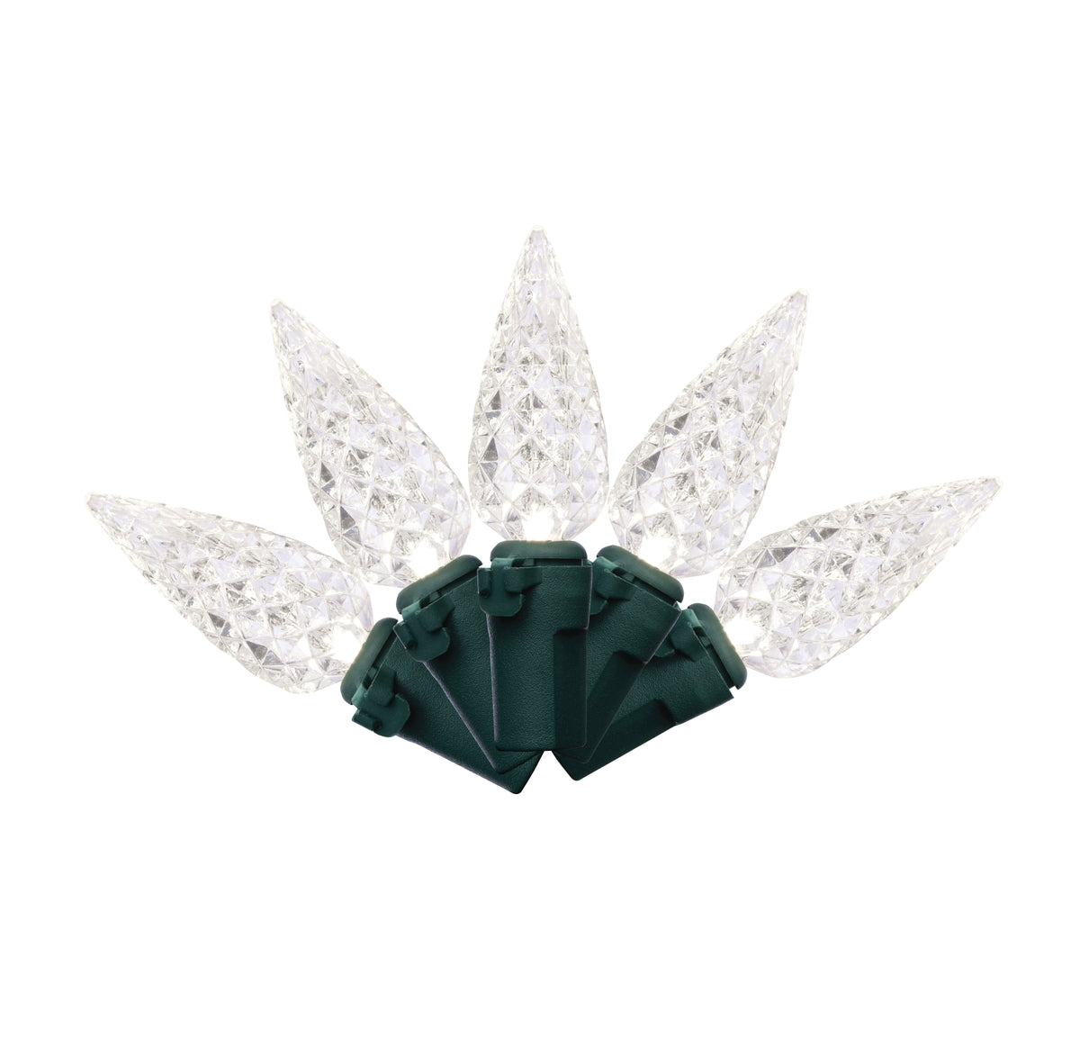 C6 50L 6" Spacing Lights (Polybag)