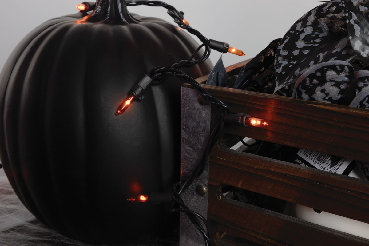 T5 100L 3" Spacing Light Set (Retail Box)