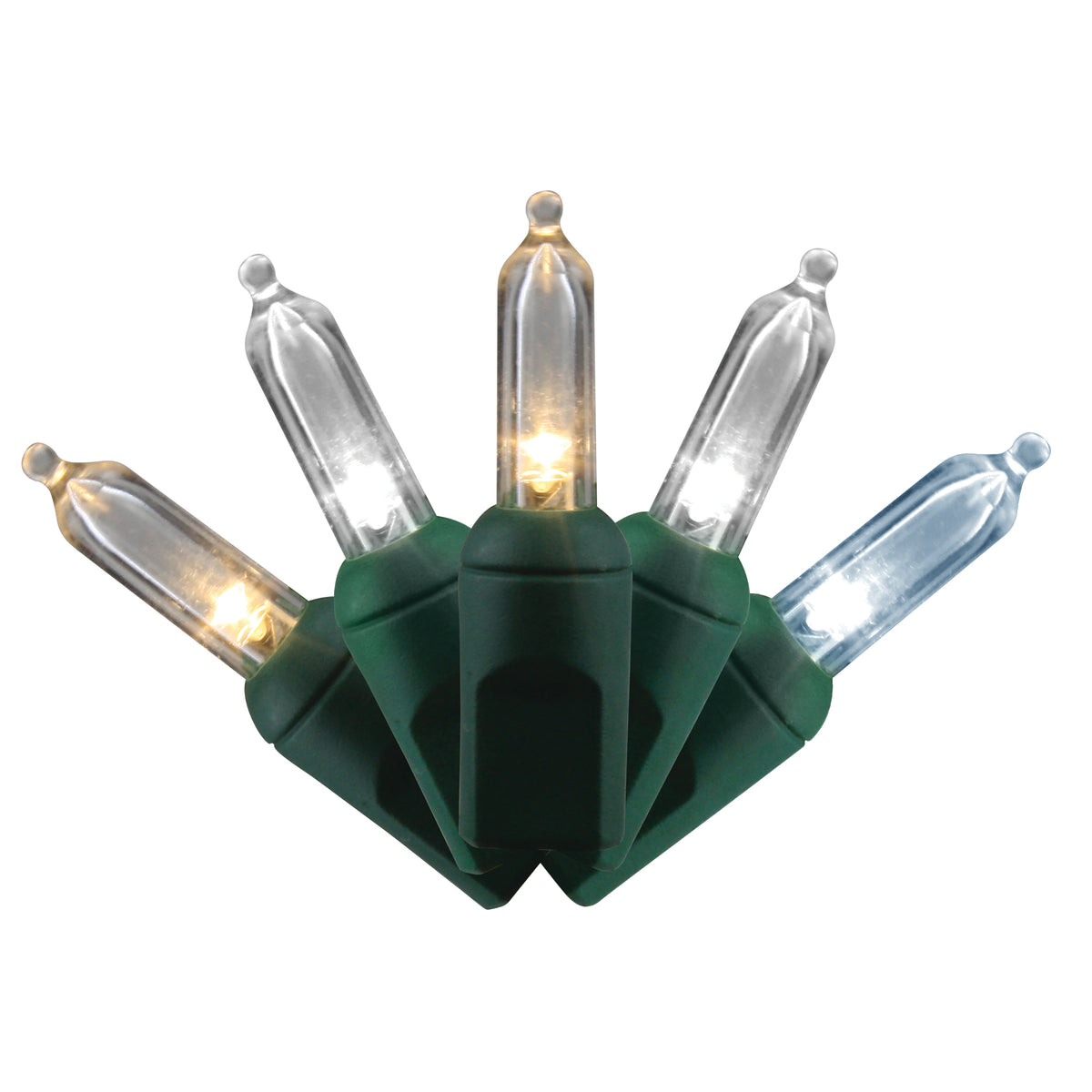 T5 50L 4" Spacing Light Set (Polybag)