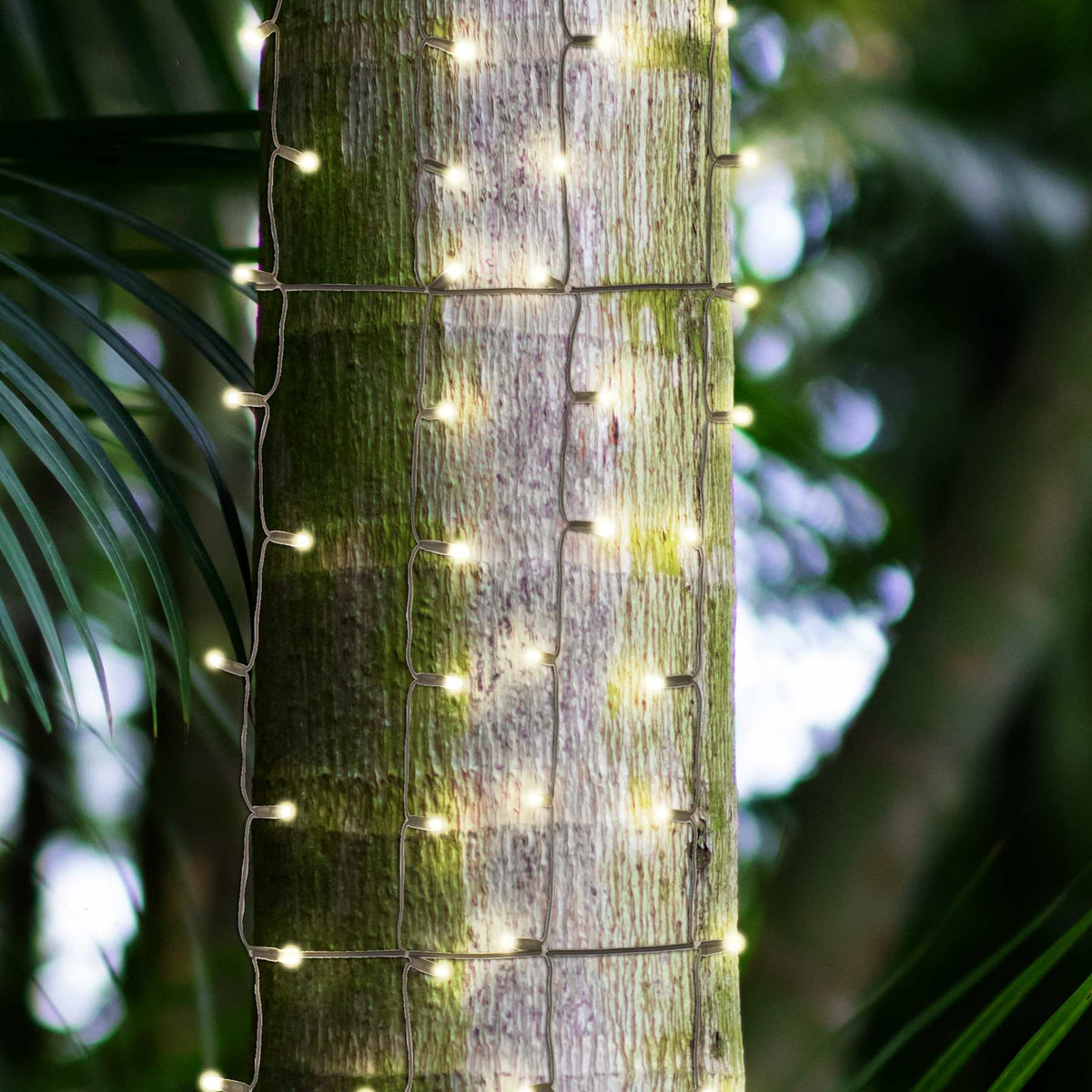 5MM 105L Tree Trunk Net Lights (Retail Box)