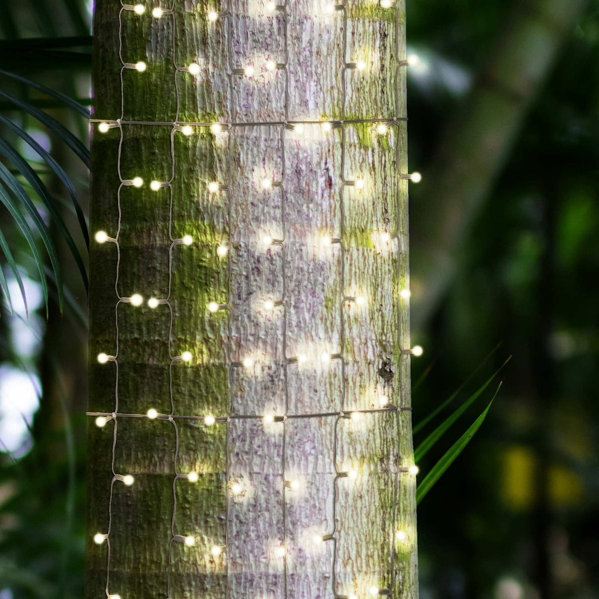 5MM 210L Tree Trunk Net Lights (Retail Box)
