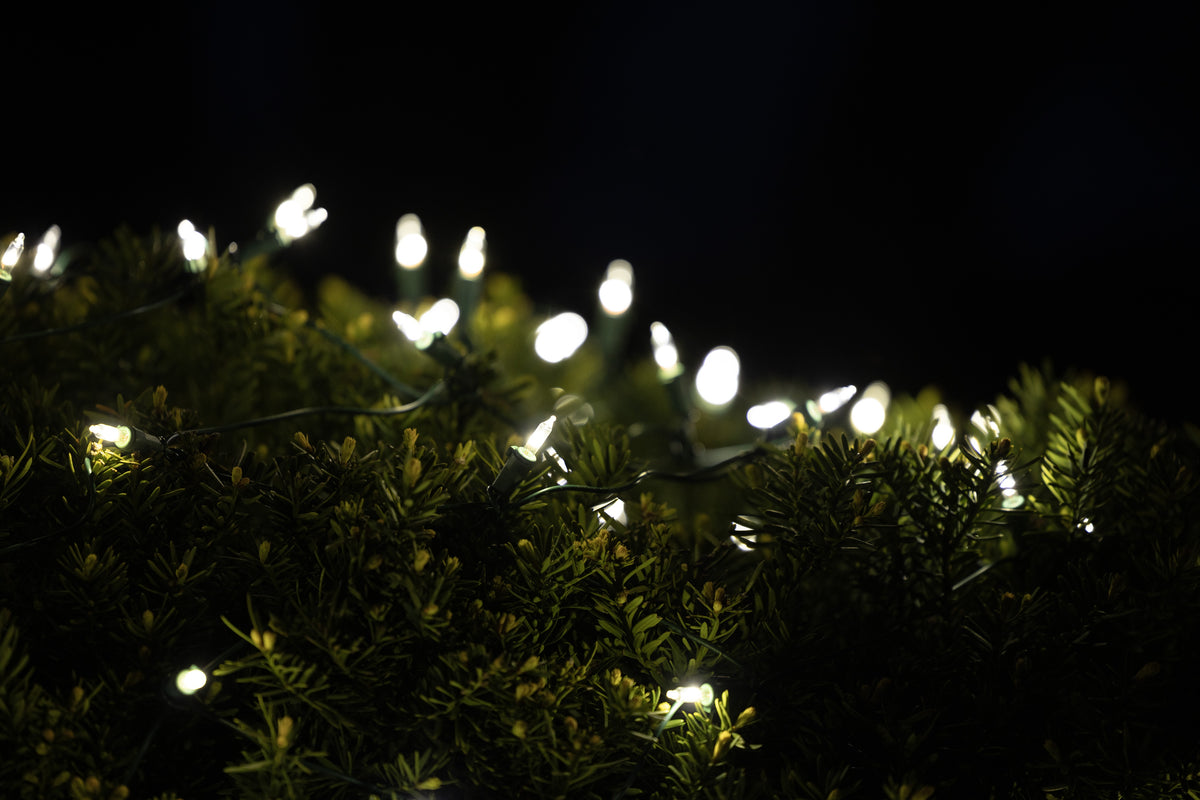 T5 100L Classic Net Lights (Retail Box)