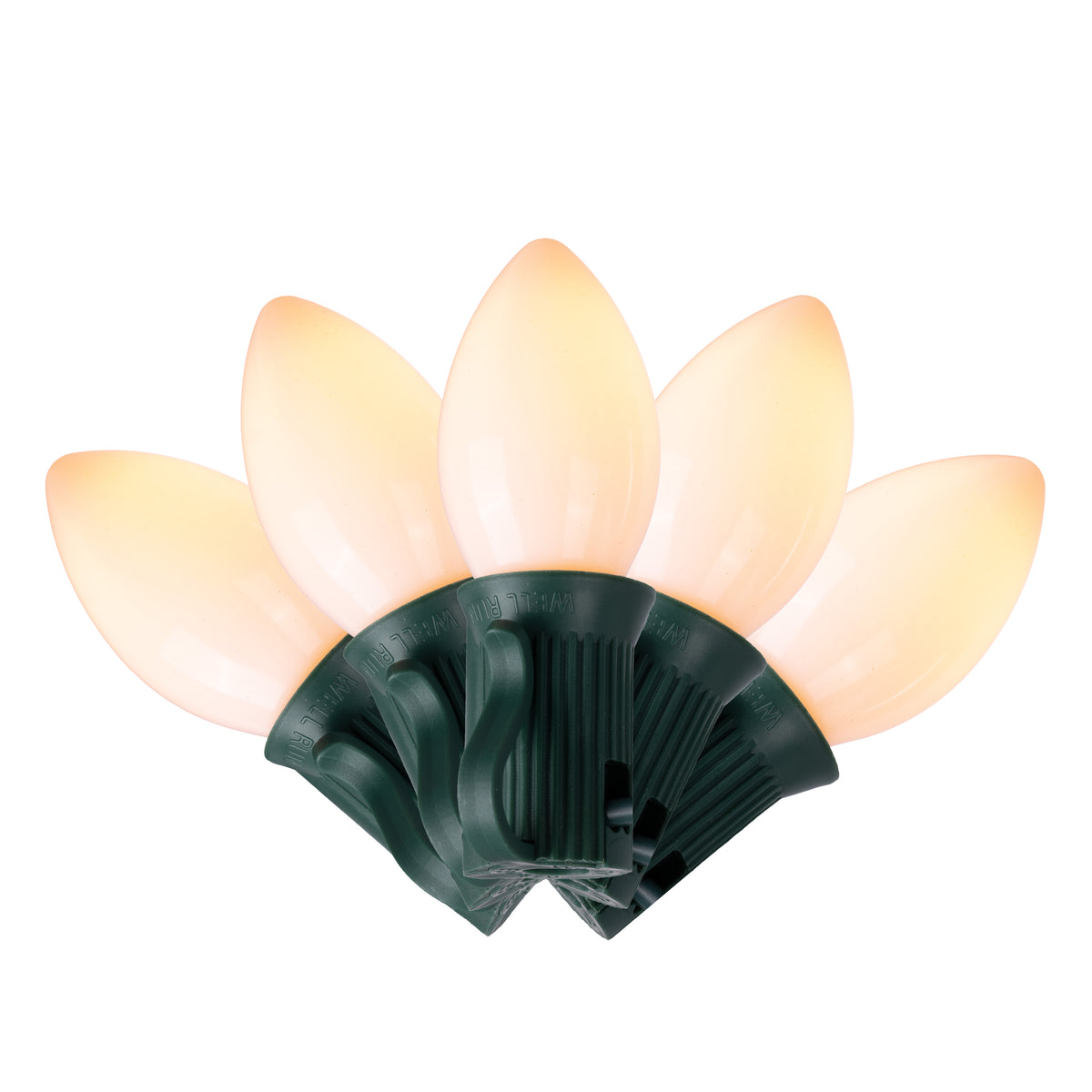 C7 25L Classic Lights (Retail Box)