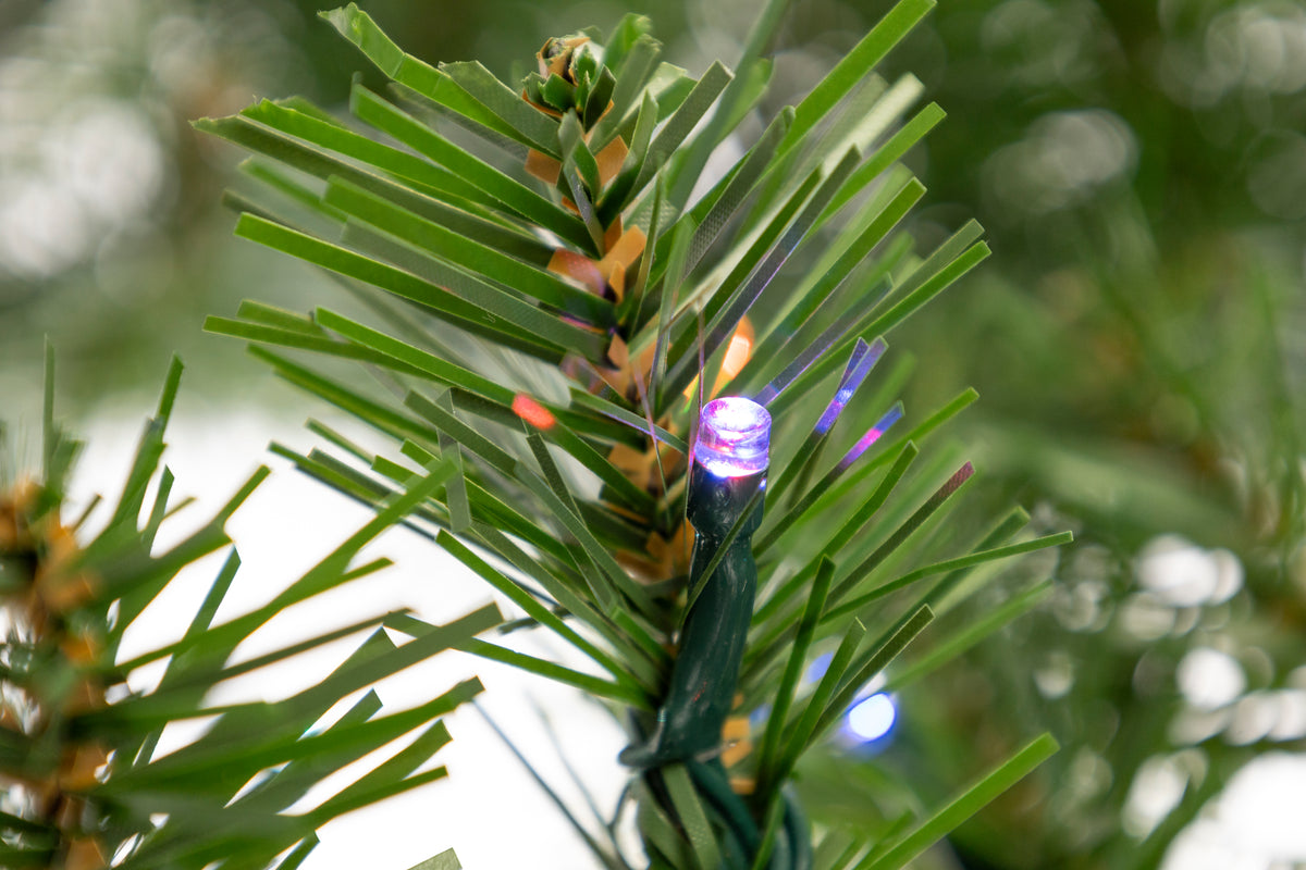 Brillant Garlands (Plug-In)