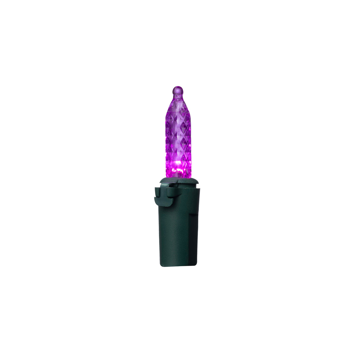 M5 100L Vibrant Lights (Retail Box)