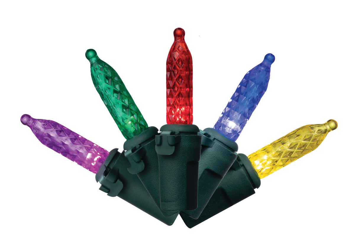 M5 100L Vibrant Lights (Retail Box)