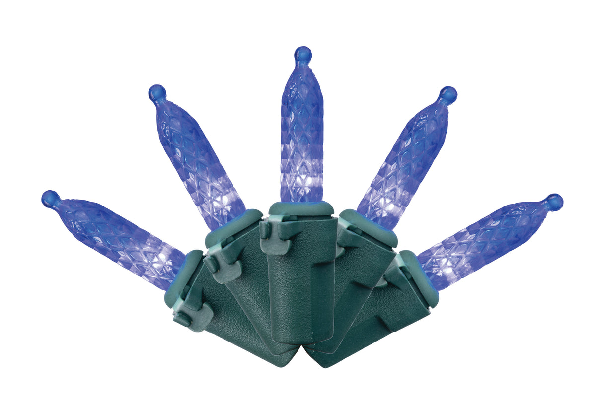 M5 100L Vibrant Lights (Retail Box)