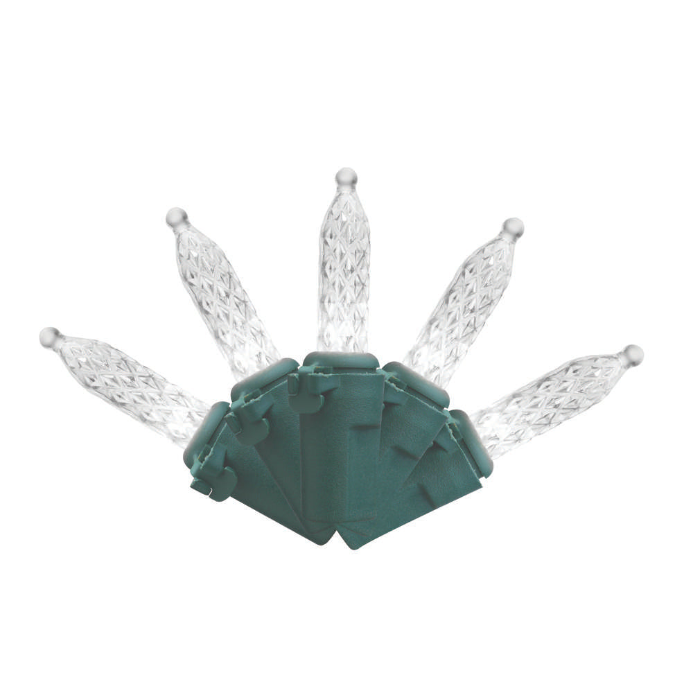 M5 300L Vibrant Lights (Retail Box)
