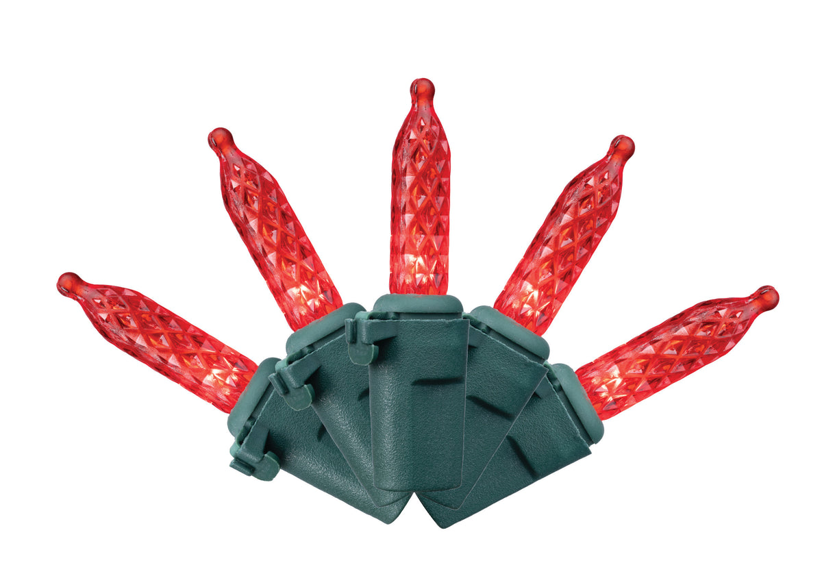 M5 300L Vibrant Lights (Retail Box)