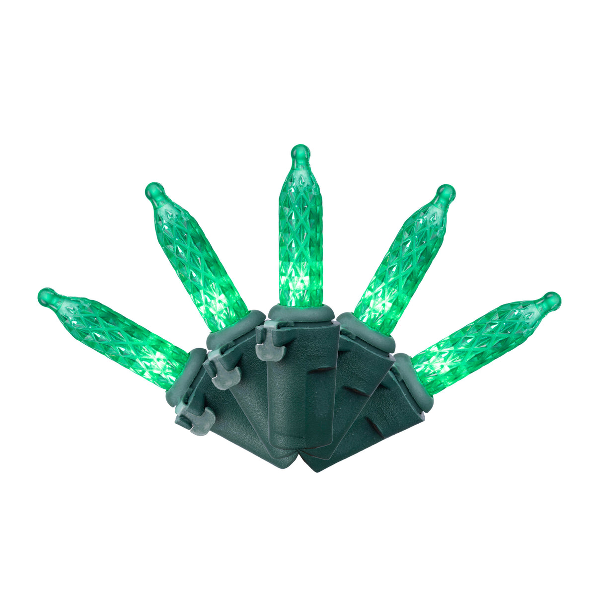 M5 300L Vibrant Lights (Retail Box)