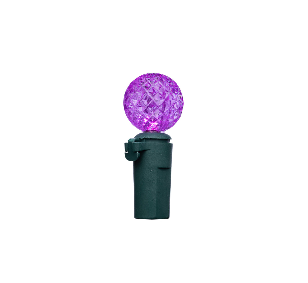 G12 100L Vibrant Lights (Retail Box)