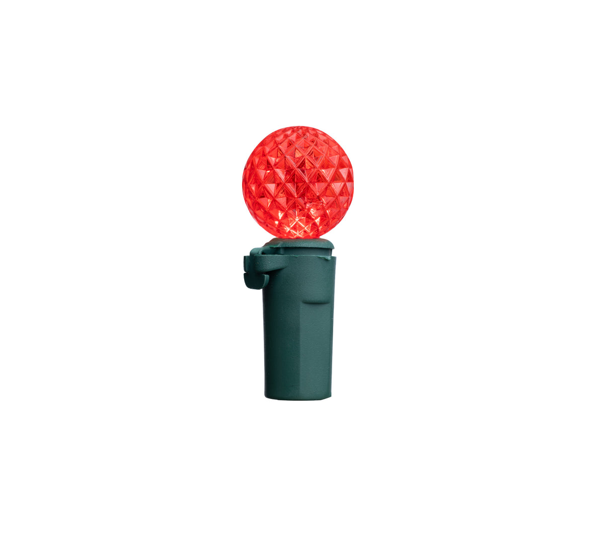 G12 100L Vibrant Lights (Retail Box)