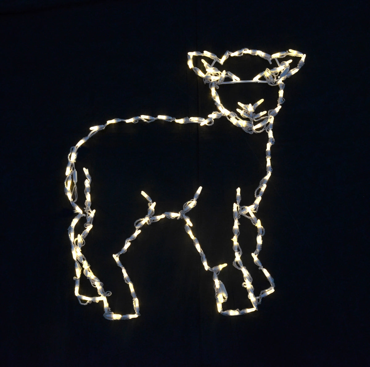 Nativity Standing Lamb 2D Wire Frame Decor