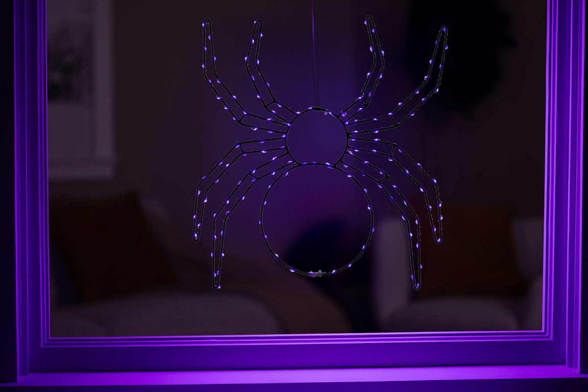 Spider 2D Wire Silhouette (Retail Box)