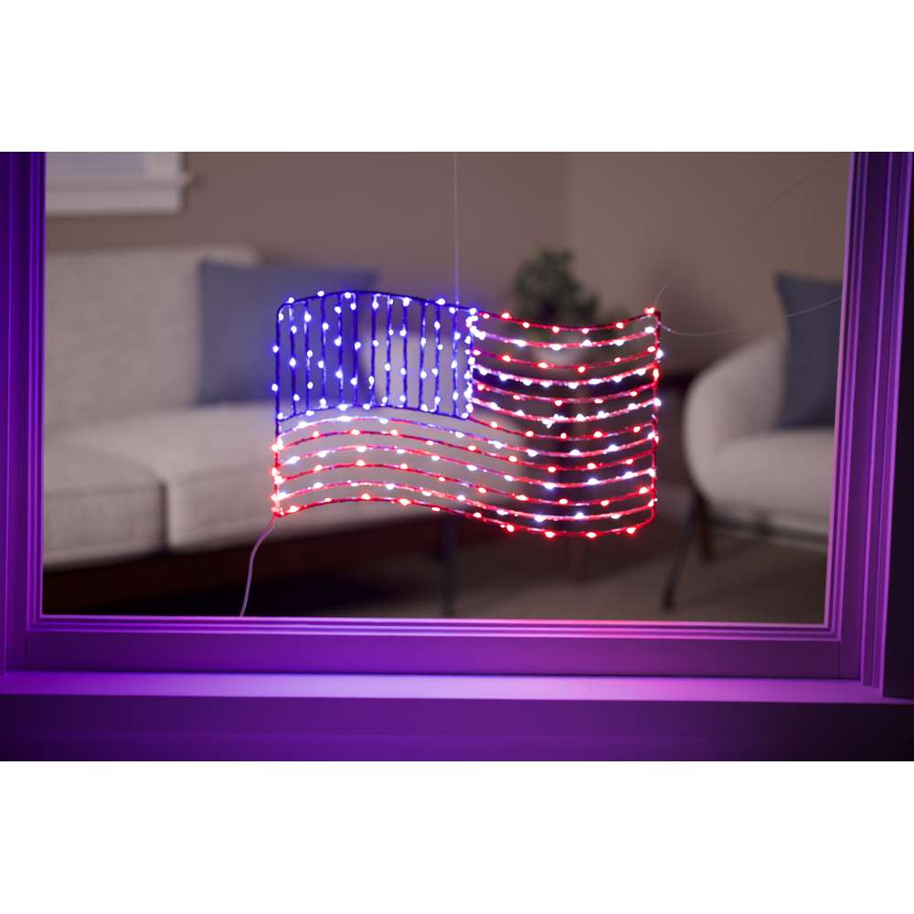Patriotic Flag 2D Wire Silhouette