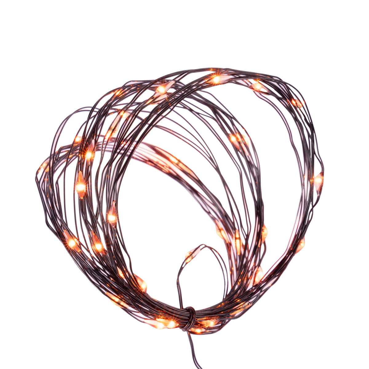 Micro 40L Lights - Black Wire (Retail Box)