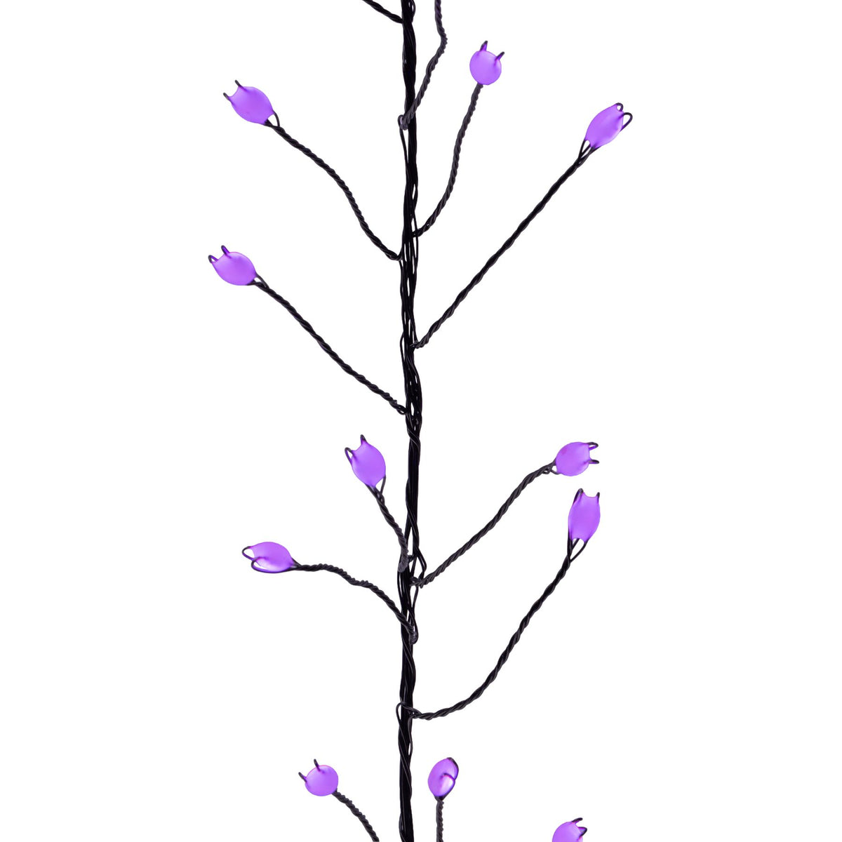 Big Seed 250L Vine Garland Lights (Retail Box)