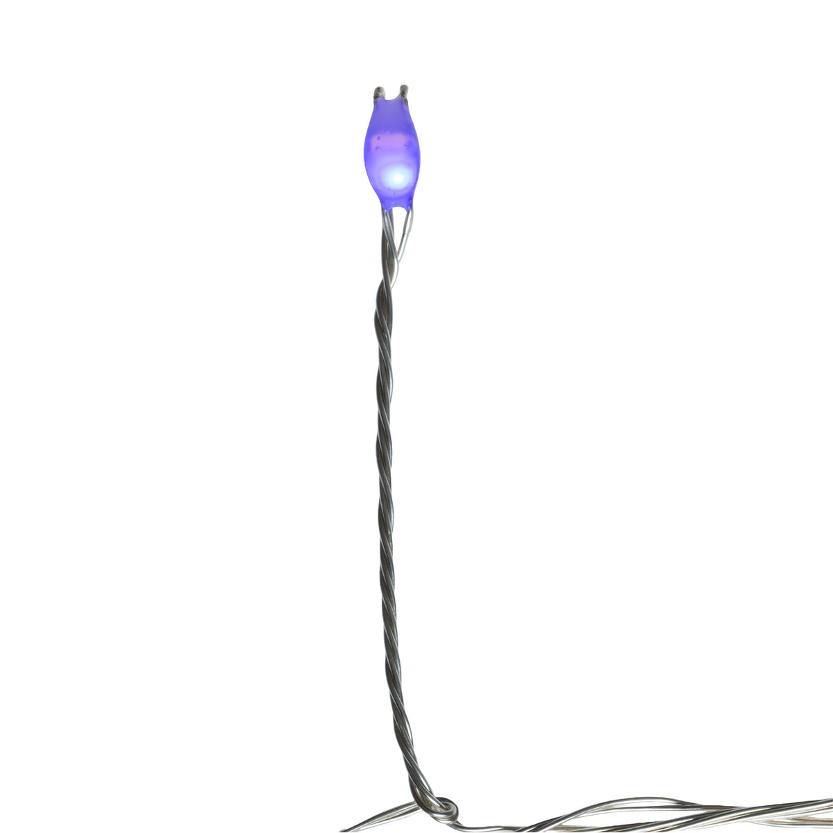 Big Seed 150L Battery Operated Garland Cluster Belle Luci Lights (Retail Box)