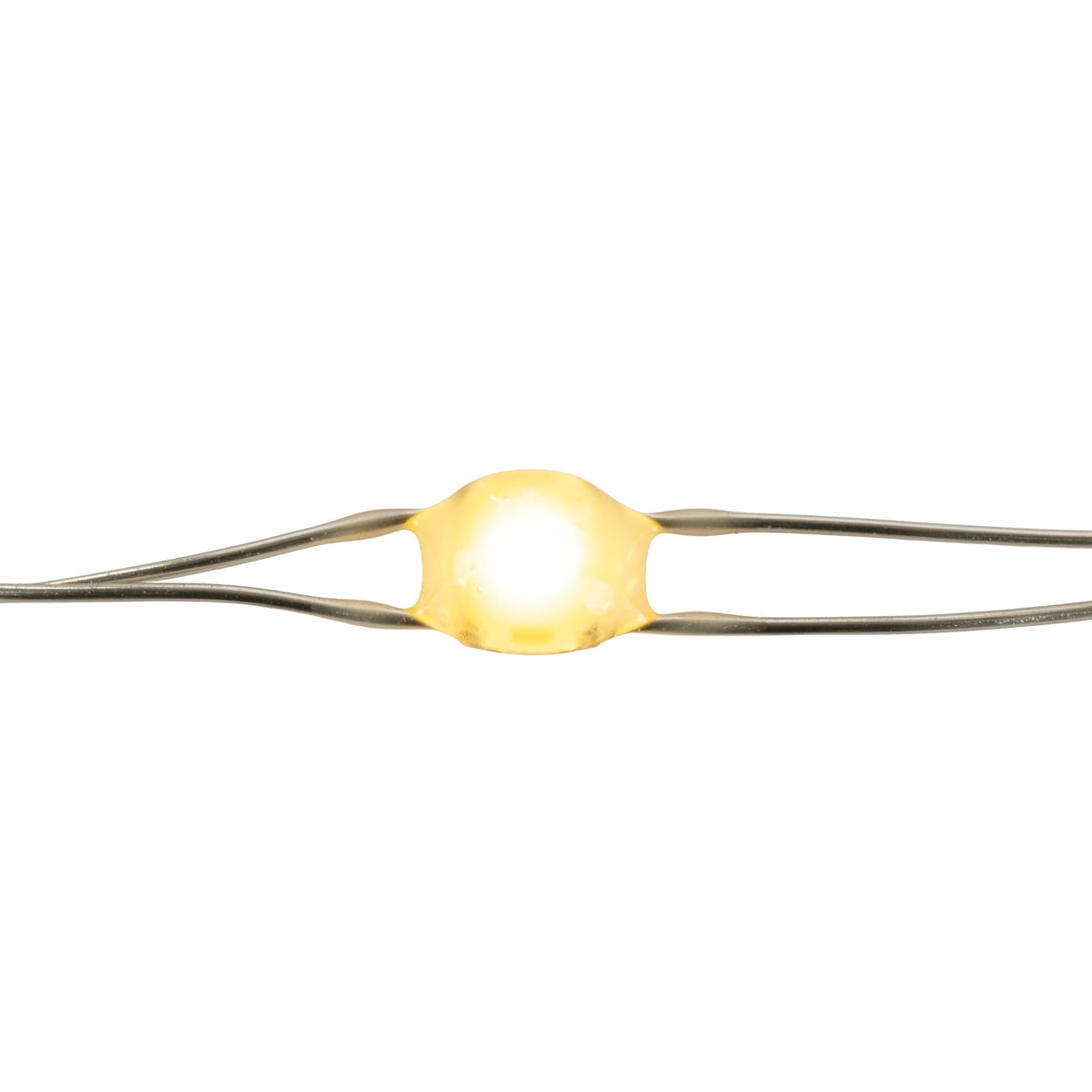 Big Seed 40L Battery Operated Lights (Retail Box)