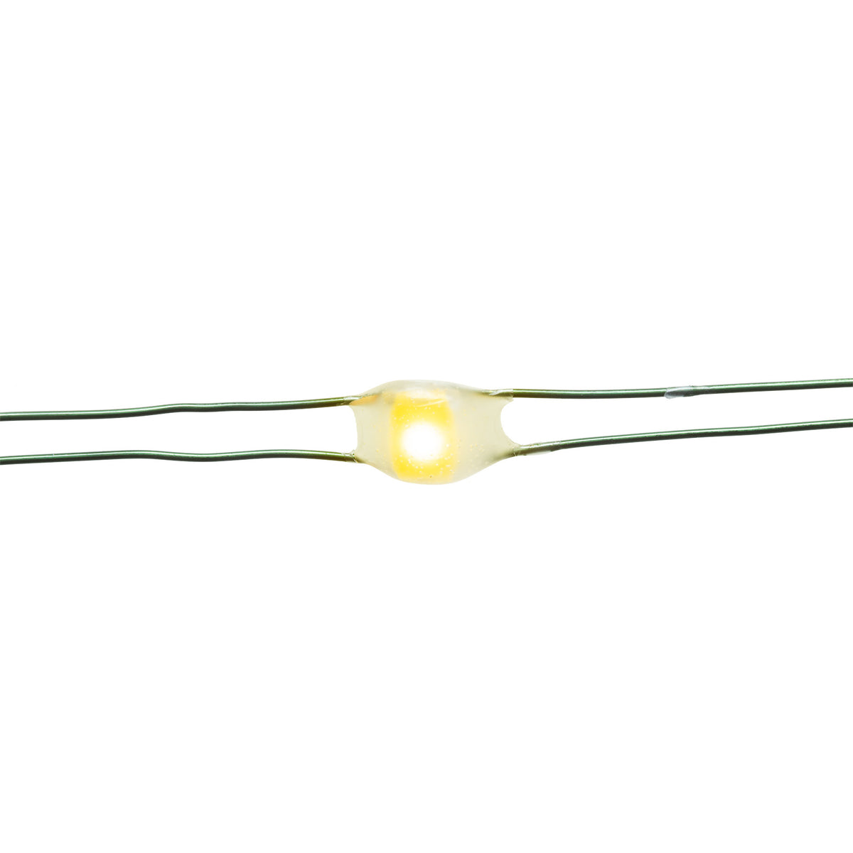 Big Seed 50L Battery Operated Lights (Retail Box)