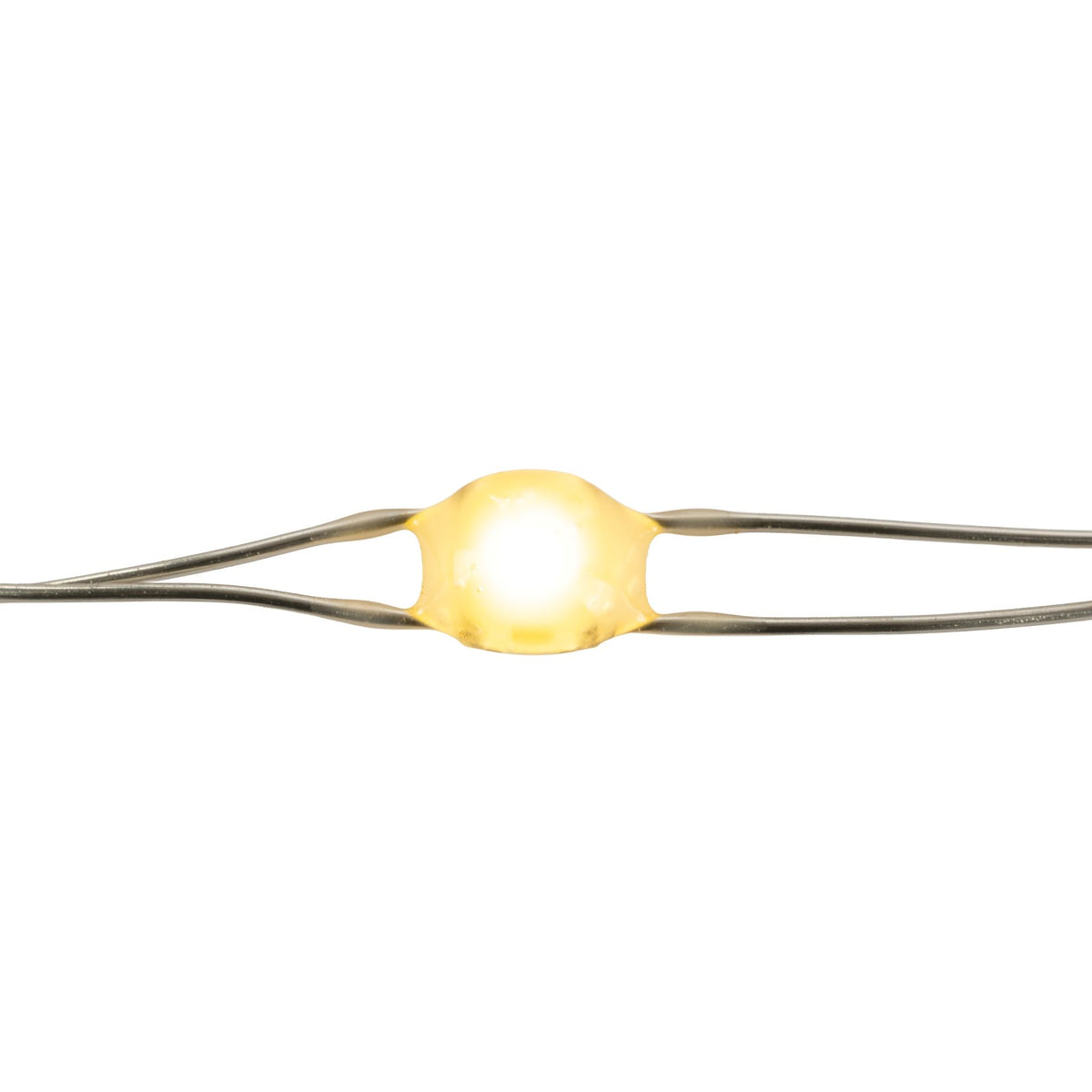 Big Seed 50L Battery Operated Lights (Retail Box)