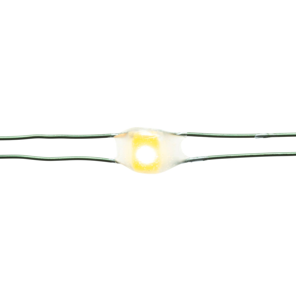 Big Seed 100L Battery Operated Lights (Retail Box)