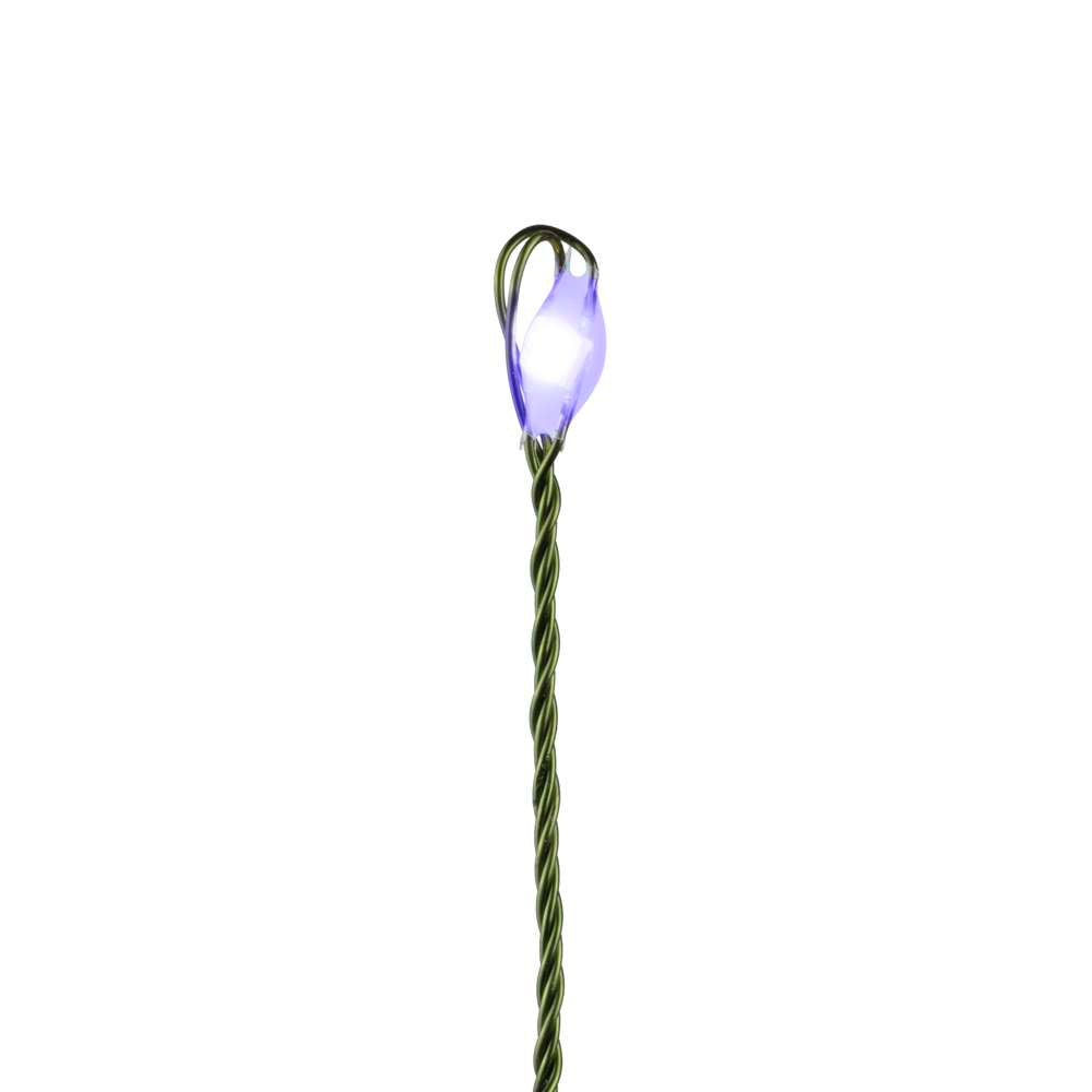 Big Seed 420L Garland Cluster Lights (Retail Box)