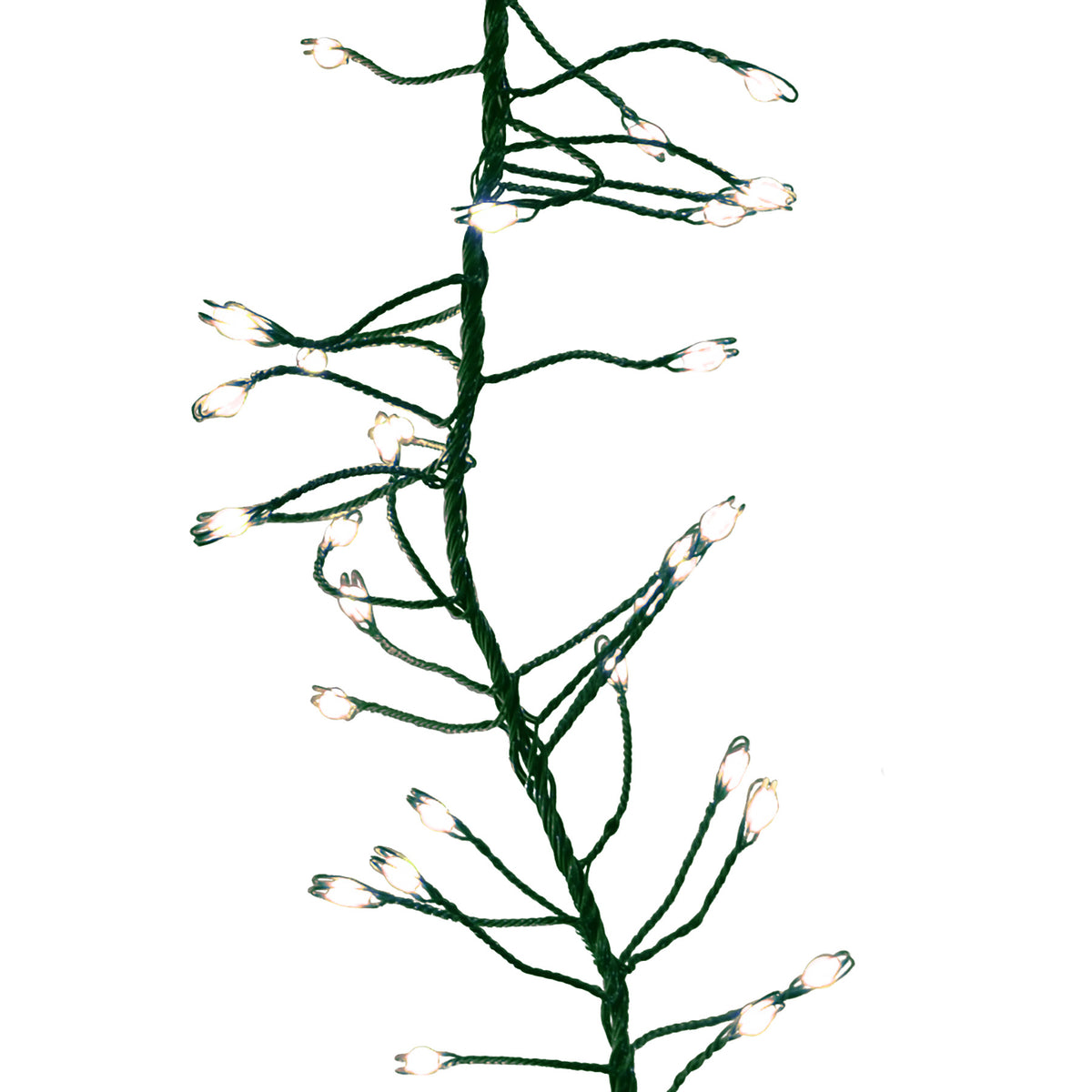 Big Seed 270L Garland Cluster Lights (Retail Box)