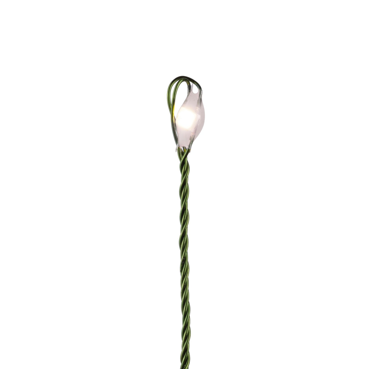 Big Seed 250L Garland Cluster Lights (Retail Box)