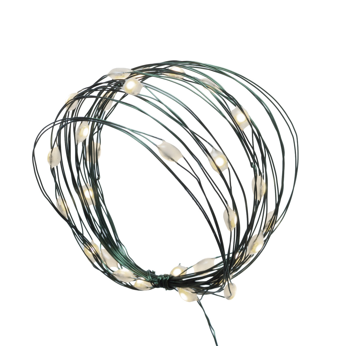 Big Seed 50L Battery Operated Lights (Retail Box)
