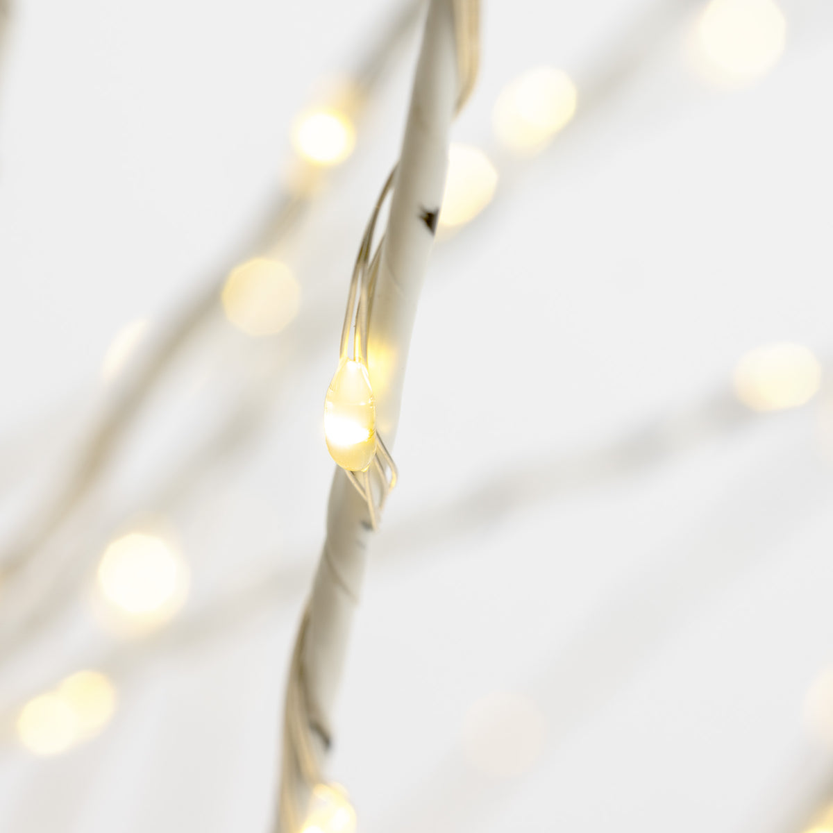 6ft High Density Birch Tree (White Wrap)