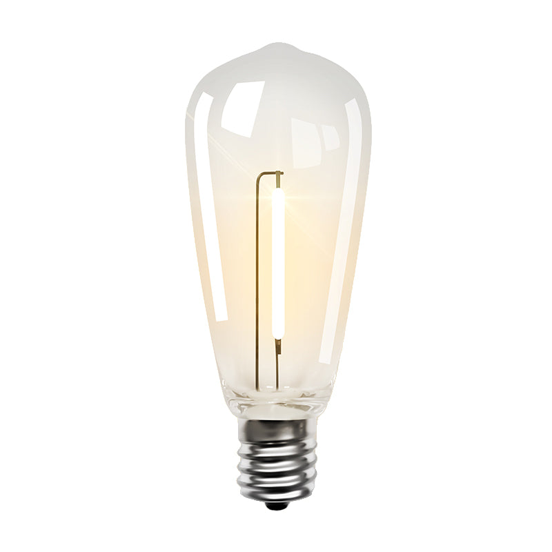 ST40 Edison Bulbs (Retail Box)
