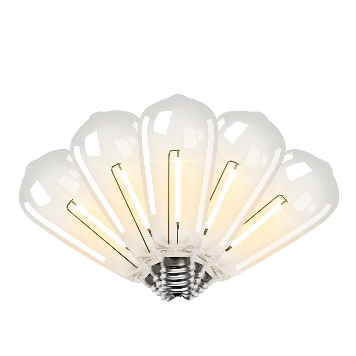 ST40 Edison Bulbs (Retail Box)