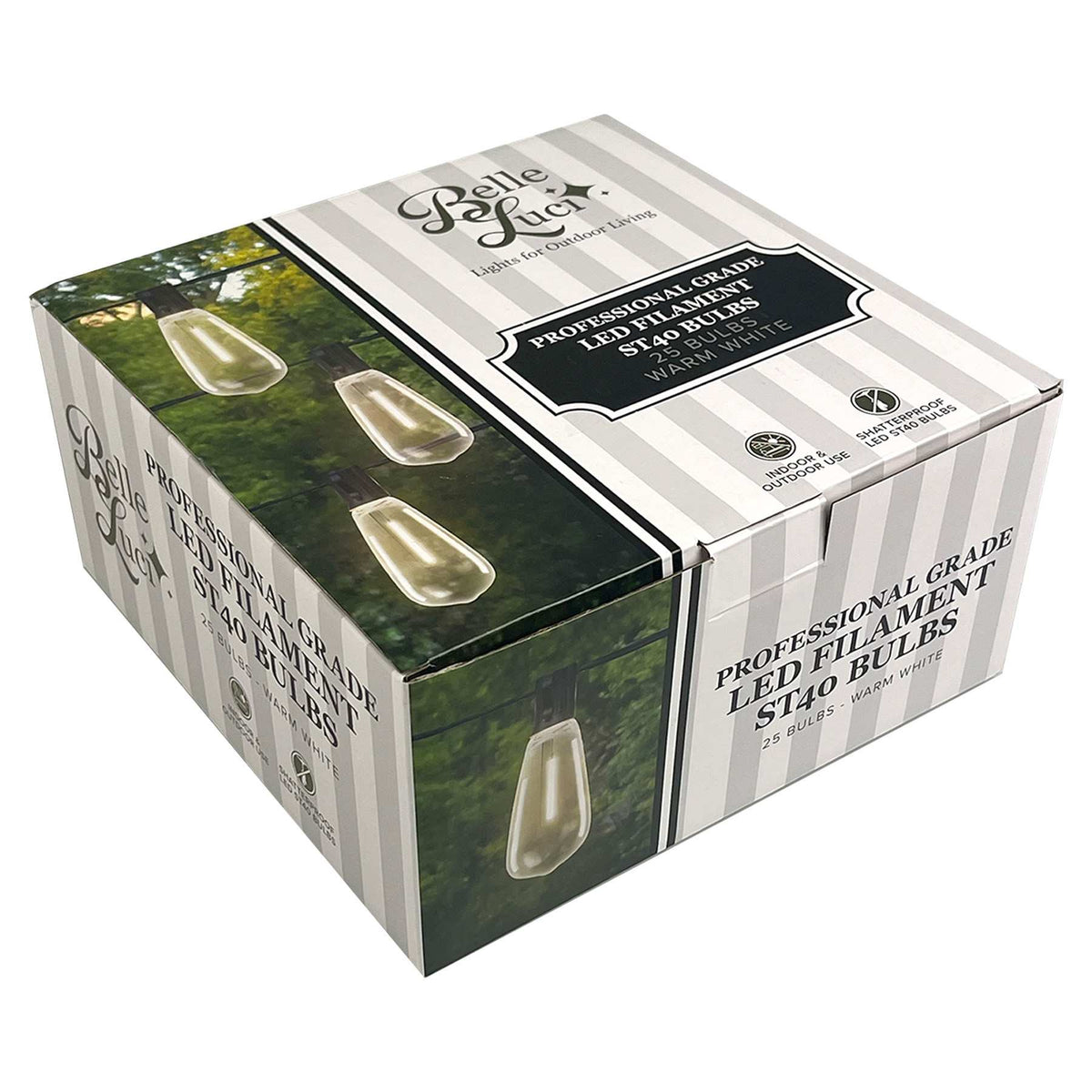 ST40 Edison Bulbs (Retail Box)