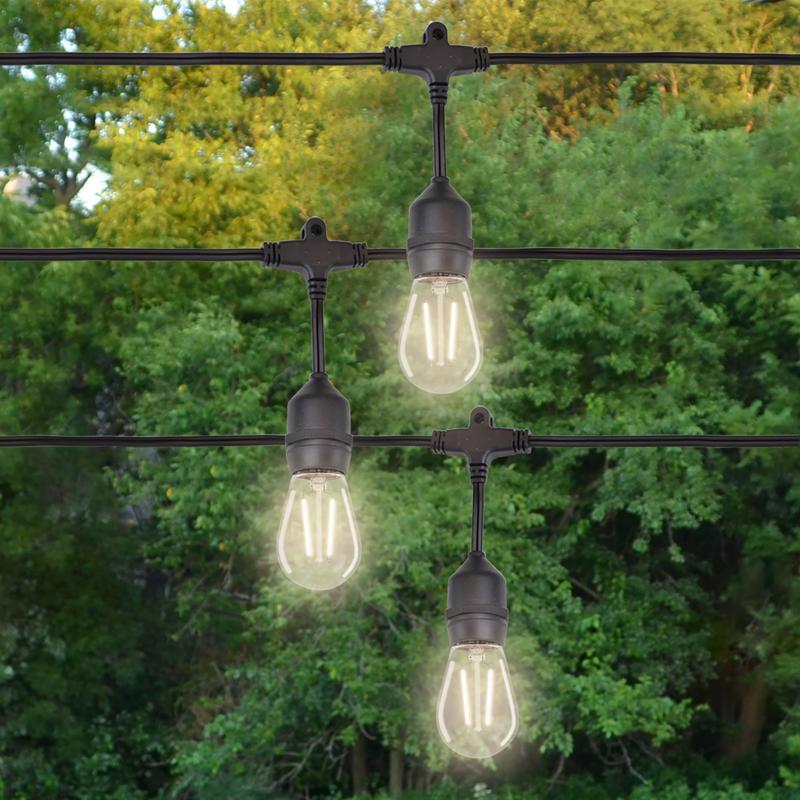 S14 Double Filament Bulbs (Retail Box)