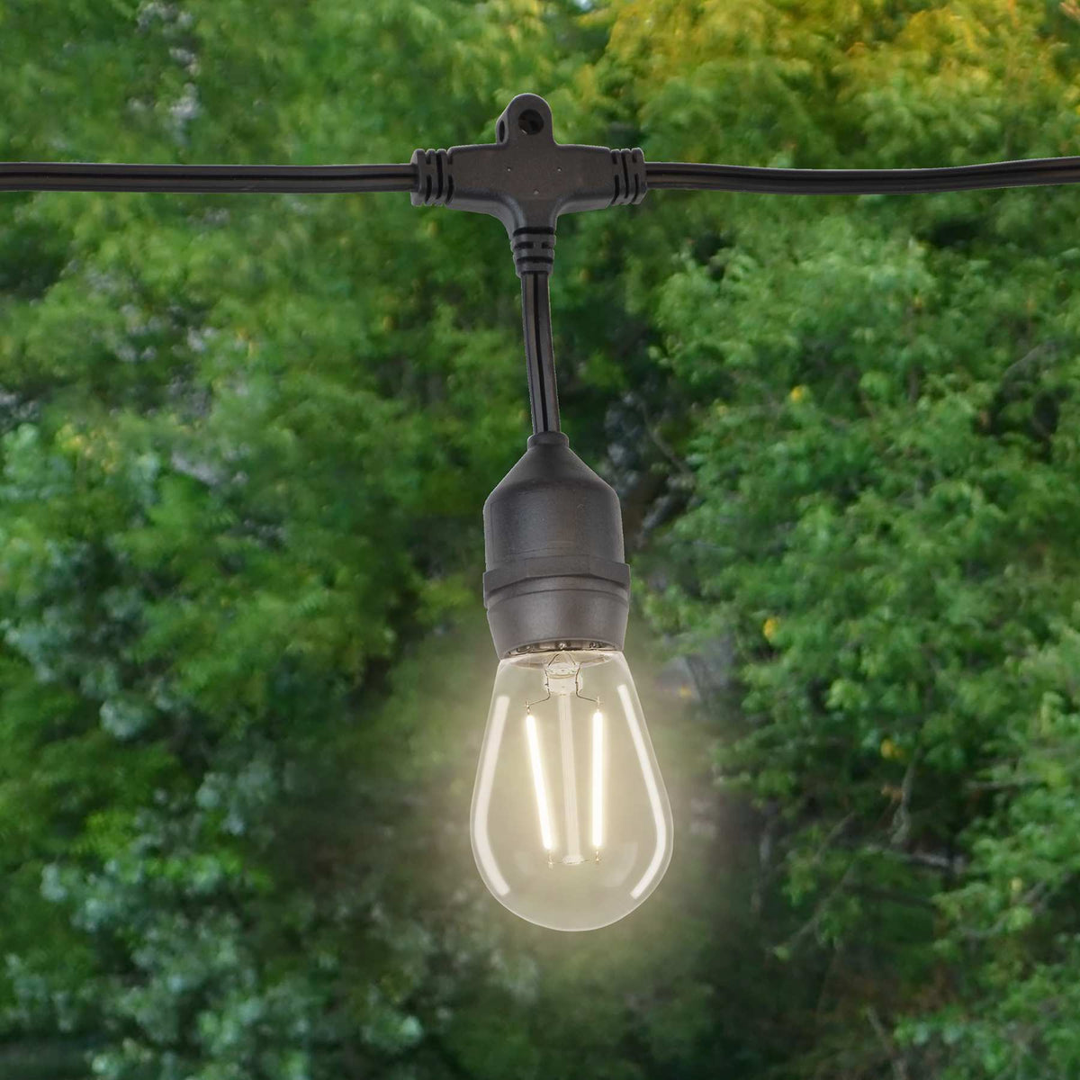S14 Double Filament Low Voltage Bulbs (Retail Box)