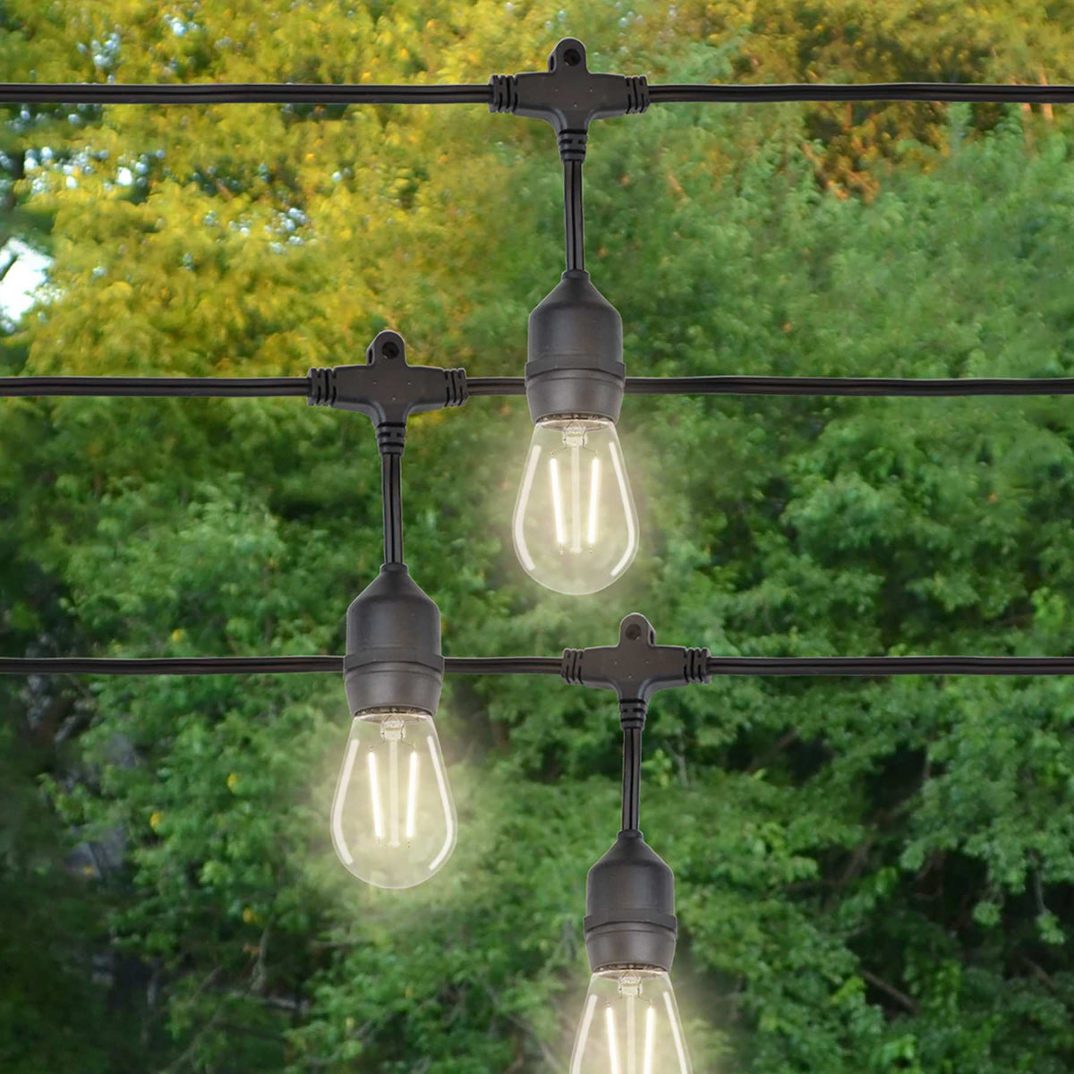 S14 Double Filament Low Voltage Bulbs (Retail Box)