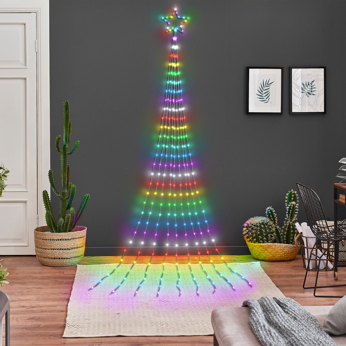 Big Seed RGB Shooting Star (Retail Box)