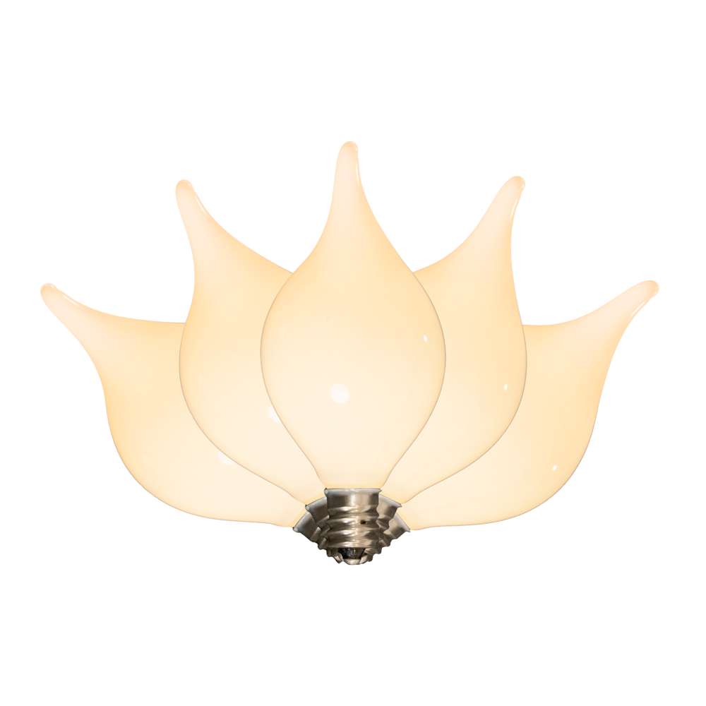 G45 Teardrop Replacement Lights (Retail Box)