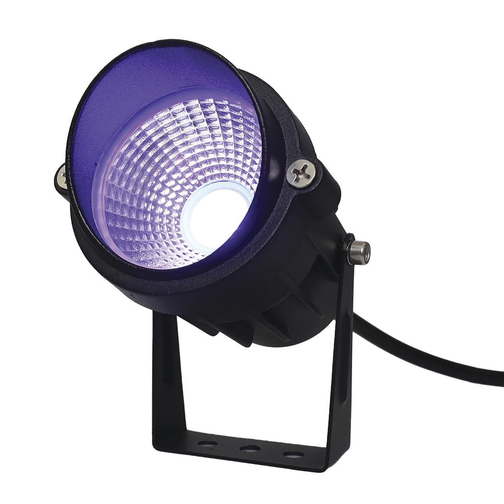 Spot Lights (Retail Box)